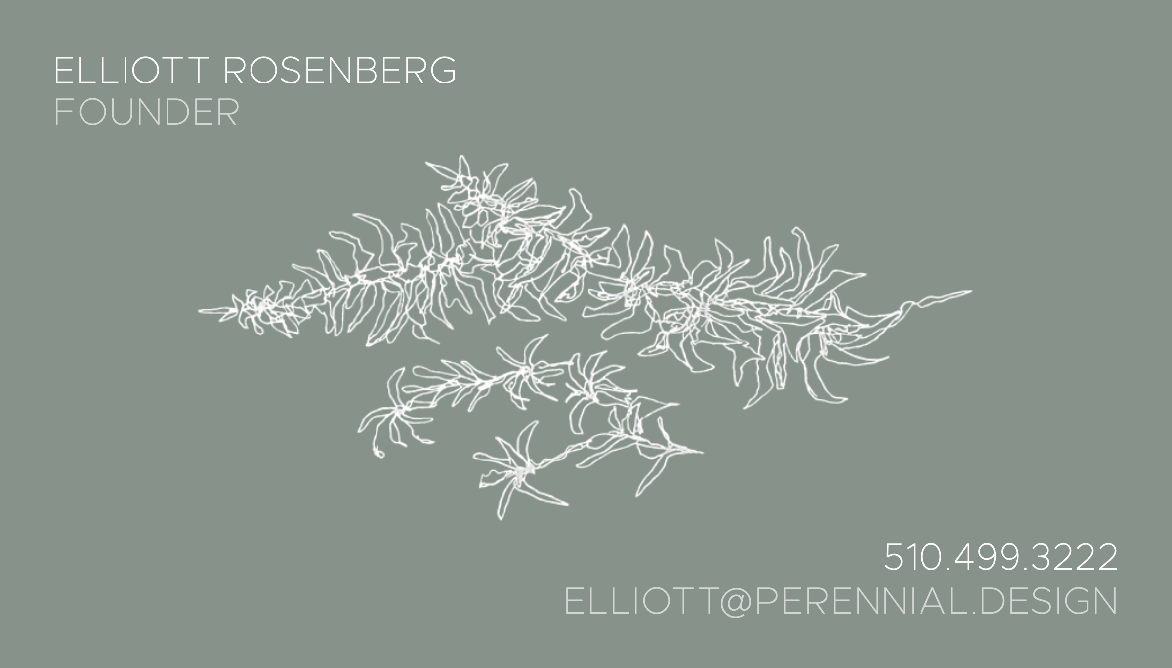 Perennial — business cards