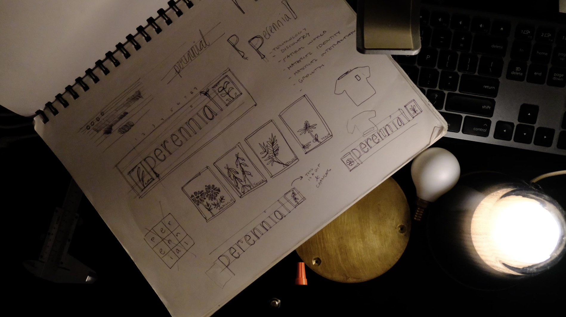 Perennial — design process